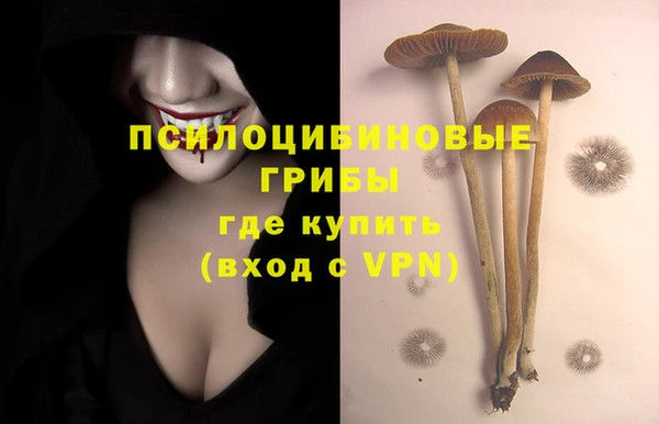 стаф Алексин
