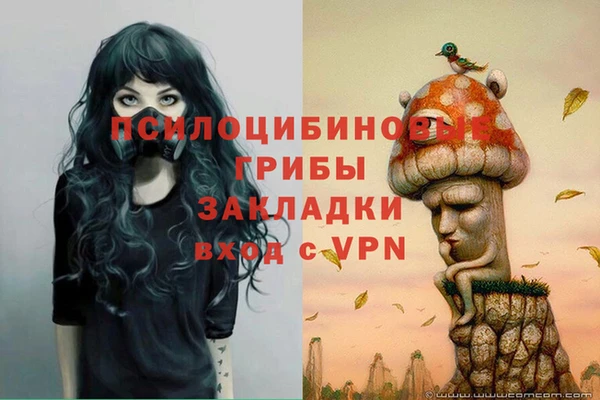 соль ск Куйбышев