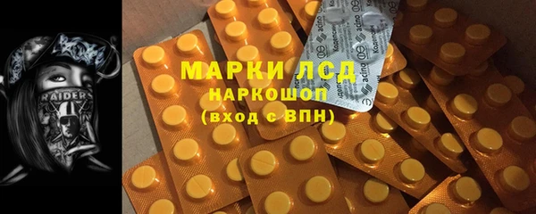 стаф Алексин