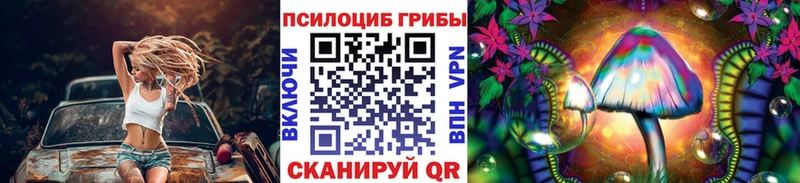 где купить наркоту  hydra   Галлюциногенные грибы GOLDEN TEACHER  Люберцы 