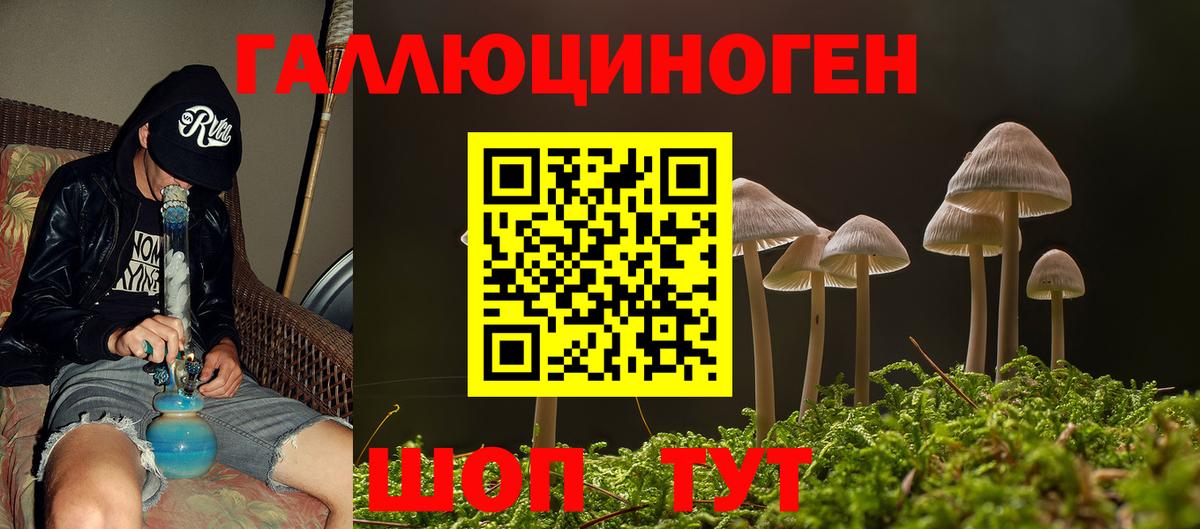 Галлюциногенные грибы Cubensis  хочу   Люберцы  Вход с VPN 